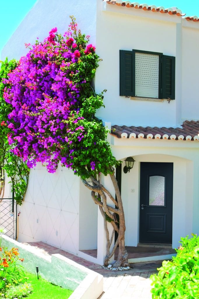 Exterior a country house with flowers.