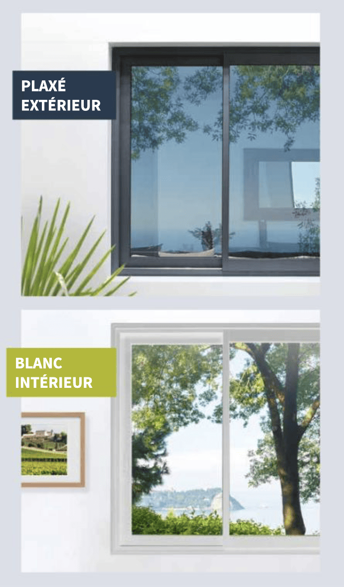 Bicoloration intérieur extérieur